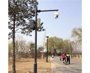 银川路灯监控杆-LB-03